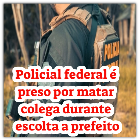 OBSERVATÓRIO CRIMINAL